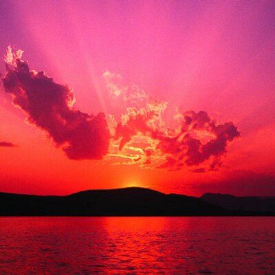 Profile Picture of Michelle Auger (@2autoinsur4less) on Twitter