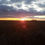 Profile Picture of Daniel John Fenwick (@daniel_fenwick75) on Instagram