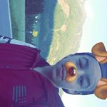 Profile Picture of Ralph Baumschlager (@baumschlagerralph) on Instagram
