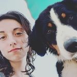 Profile Picture of Kali | Appenzeller Sennenhund (@kali_and_jayjay) on Instagram
