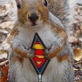 Profile Picture of Steven Rattray (@341502996) on Myspace