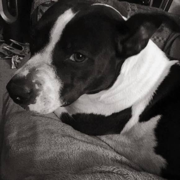 Profile Picture of Mary Hooks (@maryhoo) on Poshmark