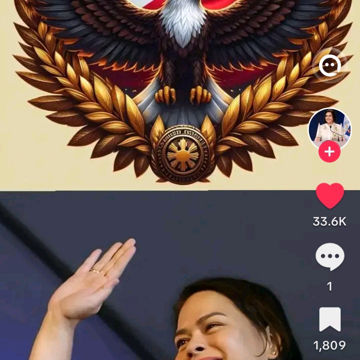 Profile Picture of vivianhan (@viance31) on Tiktok