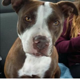 Michael Riney - Instagram Profile Picture of Michael Riney (@riney_michael) on Instagram