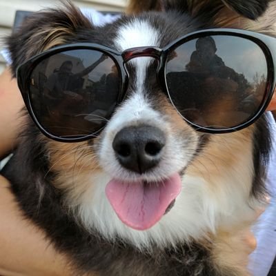 Profile Picture of Andy Stimer (@StimeTime27) on Twitter
