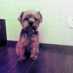 Profile Picture of Felix Galo (@felixko_galo) on Instagram