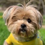 Profile Picture of Oliver Crazy-Bones (@oliverbuckmeister) on Instagram