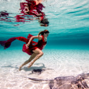 Profile Picture of Jeremy Ferris (@preciouspupmamaduke) on Youtube