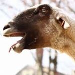 Profile Picture of Jordan Acker (@ackerj23) on Instagram