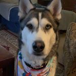 Profile Picture of Larry Travers (@ldt547) on Instagram
