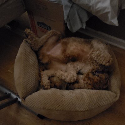 Profile Picture of Brian Bertsch (@BertschBrian) on Twitter