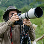 Profile Picture of Jefferson Silva (@jefferson silva) on Flickr