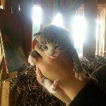 Profile Picture of Andrea Knapp (@andrea.knapp) on Instagram