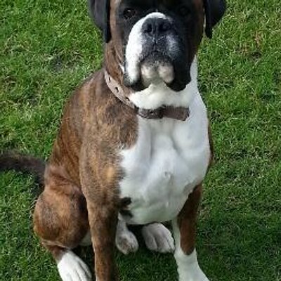 Profile Picture of Iain Beattie (@IainSBeattie) on Twitter