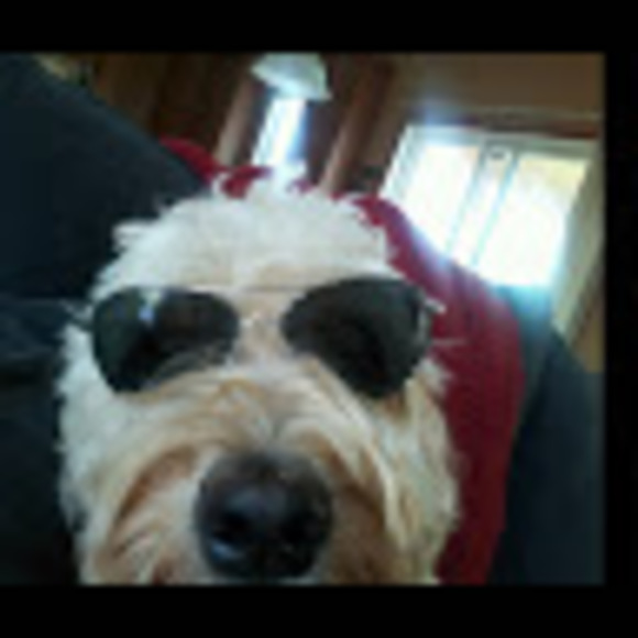 Profile Picture of Chad Schumacher (@chadwschumacher) on Poshmark