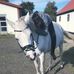 Profile Picture of Sarah Høholt Graarup (@profile.php) on Facebook