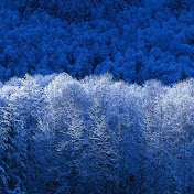 Profile Picture of Christopher Bishop (@christopherbishop9967) on Youtube