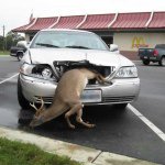 Profile Picture of Nathan (@nbarden123) on Instagram