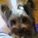 Profile Picture of Adriana Busse (@adrianags) on Flickr