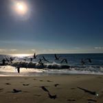 Profile Picture of Matthew Hawks (@hawks_photography_rva) on Instagram