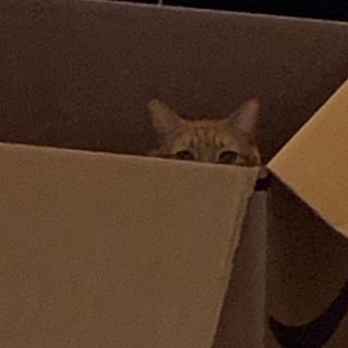 Profile Picture of Jason Waskey (@jason.waskey) on Facebook