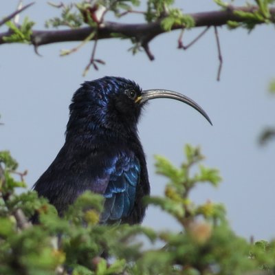 Profile Picture of Ed Hunter (@edhunterhere) on Twitter