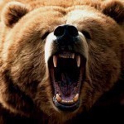 Profile Picture of Andrew Coffey (@WildPursuitsHC) on Twitter