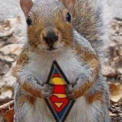 Profile Photo of Allen McDonald (@squirrel711) on Twitter