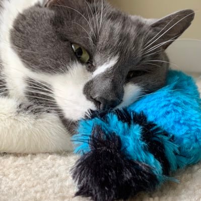 Profile Picture of Dan Vinson (@Umpirepilot) on Twitter