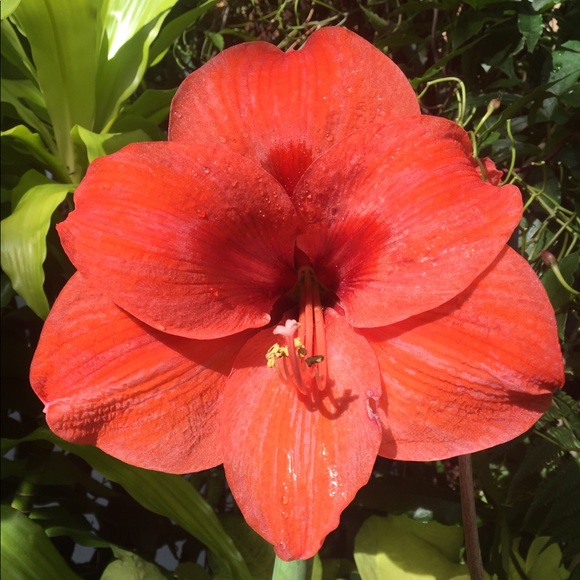 Profile Picture of Lanier Roberts (@lanierr) on Poshmark