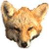 Profile Picture of V. Tobin (@redfox) on Flickr