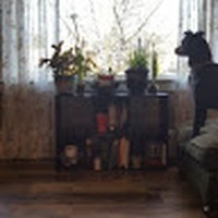 Profile Picture of Michael Tremel (@michael-tremel-4) on Quora