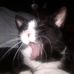 Profile Picture of Deborah Glass (@deborah.wertz.9) on Facebook
