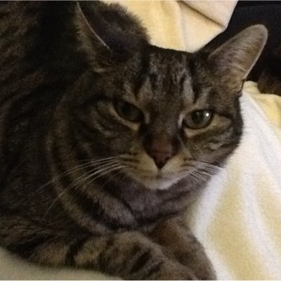 Profile Picture of Jean Hoffmann (@JH_1761) on Twitter