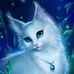 Profile Picture of Nisha Roy Singh (@nisharoy.singh.7) on Facebook