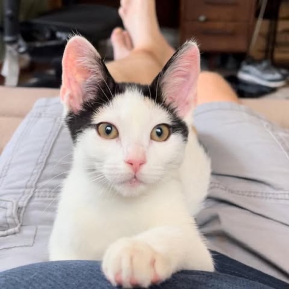 Profile Picture of James Scarry (@scarryjames) on Poshmark