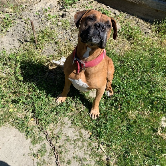 Profile Picture of Cedrick Garcia (@cedrick_lamar10) on Poshmark