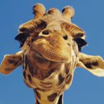 Profile Picture of Hazel King (@hazel.king.108) on Instagram