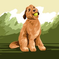 Profile Picture of Jeremy Barry (@jeremy-barry-17) on Quora