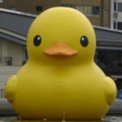 Profile Picture of Tom_sung (@tom_sung) on Twitter