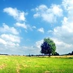 Profile Picture of Jake Stacey (@jakestacey81) on Instagram