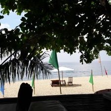 Profile Picture of James Saez (@jamessaez13) on Twitter