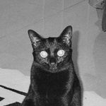 Profile Picture of James Jacky Tse (@jamesjackytse) on Instagram