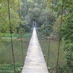 Profile Picture of Kim Hoskins (@kimrhoskins) on Instagram