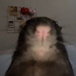 Profile Picture of Steven Abbott (@typically_steven) on Instagram