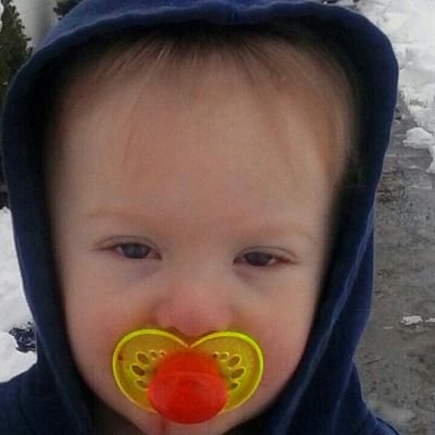 Profile Picture of Tanya Shook (@ts_shook) on Twitter