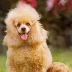 Profile Picture of Lorella Negrin (@lorella.negrin) on Facebook