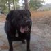 Profile Picture of Debbie Glisson (@debbieglisson12) on Pinterest