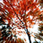 Profile Picture of Joshua Herman (@falling light) on Flickr