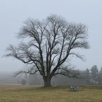 Profile Picture of Jon Weisblatt (@jon.weisblatt.7) on Facebook